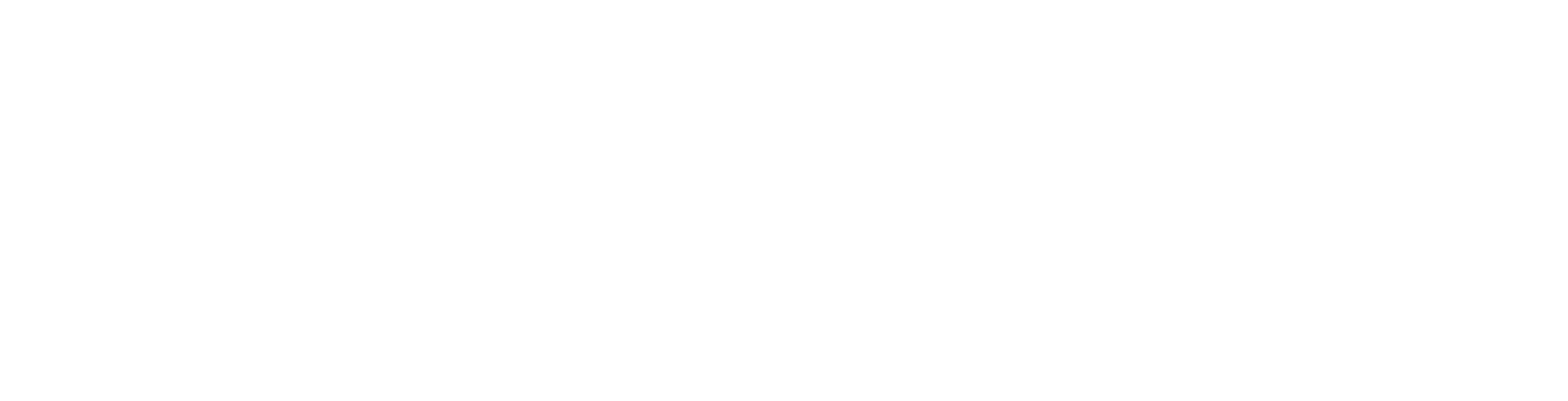 BizFlare